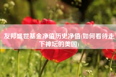 友邦盛世基金净值历史净值(如何看待走下神坛的美国)