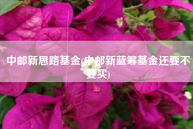 中邮新思路基金(中邮新蓝筹基金还要不要买)