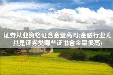 证券从业资格证含金量高吗(金融行业尤其是证券类哪些证书含金量很高)