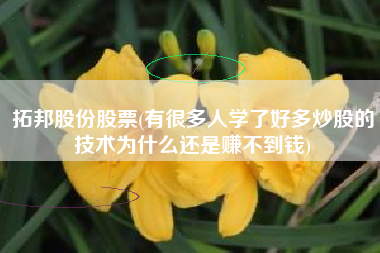 拓邦股份股票(有很多人学了好多炒股的技术为什么还是赚不到钱)