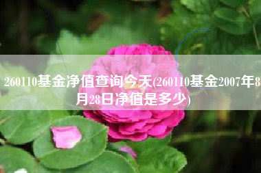 260110基金净值查询今天(260110基金2007年8月28日净值是多少)