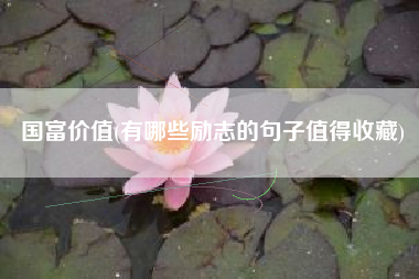 国富价值(有哪些励志的句子值得收藏)