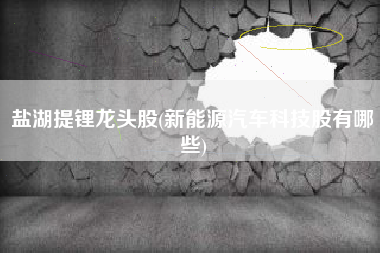 盐湖提锂龙头股(新能源汽车科技股有哪些)