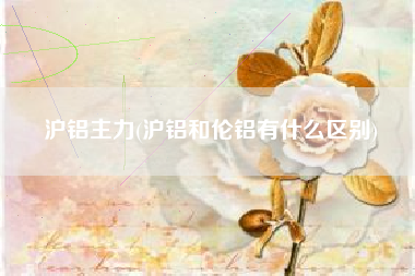 沪铝主力(沪铝和伦铝有什么区别)