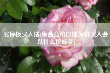 涨停板买入法(集合竞价以涨停价买入会以什么价成交)
