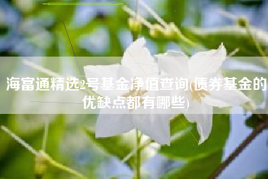 海富通精选2号基金净值查询(债券基金的优缺点都有哪些)