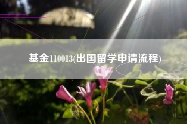 基金110013(出国留学申请流程)