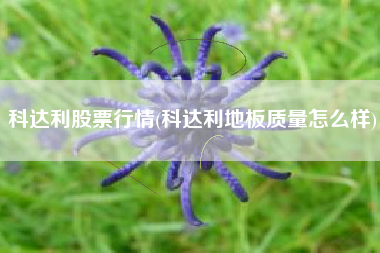 科达利股票行情(科达利地板质量怎么样)