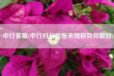 中行客服(中行对公转账未授权如何撤回)