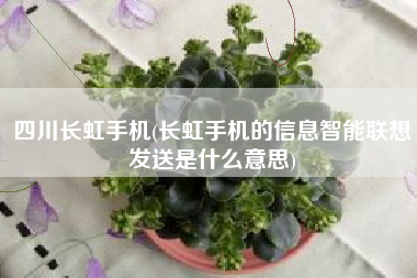 四川长虹手机(长虹手机的信息智能联想发送是什么意思)