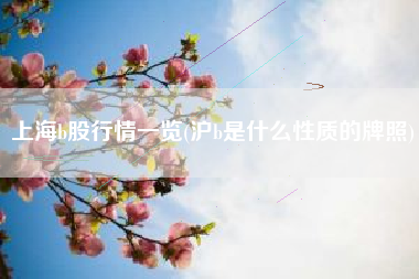上海b股行情一览(沪b是什么性质的牌照)