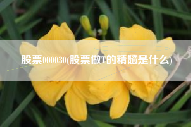 股票000030(股票做T的精髓是什么)