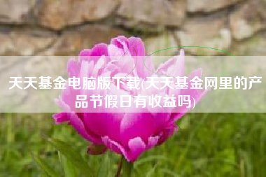 天天基金电脑版下载(天天基金网里的产品节假日有收益吗)