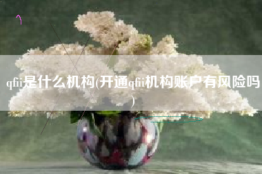 qfii是什么机构(开通qfii机构账户有风险吗)