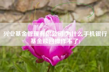 兴业基金管理有限公司(为什么手机银行基金赎回操作不了)