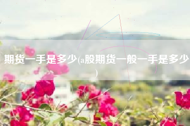 期货一手是多少(a股期货一般一手是多少)