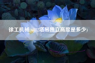 徐工机械(6012塔吊独立高度是多少)