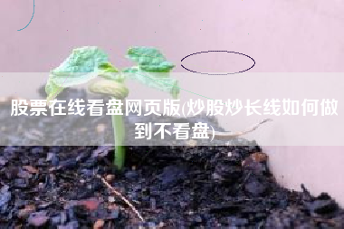股票在线看盘网页版(炒股炒长线如何做到不看盘)