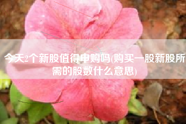 今天2个新股值得申购吗(购买一股新股所需的股数什么意思)
