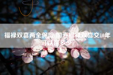 福禄双喜两全保险(国寿福禄双喜交10年可以退多少)