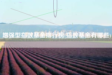 增强型指数基金排行榜(指数基金有哪些)