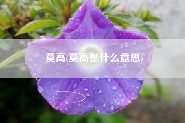莫高(莫高是什么意思)