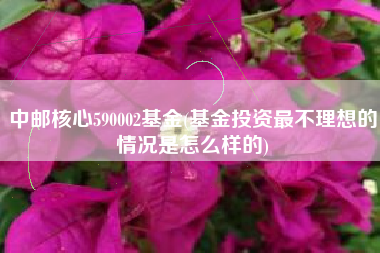 中邮核心590002基金(基金投资最不理想的情况是怎么样的)