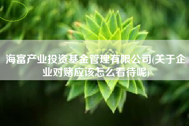 详细阅读:海富产业投资基金管理有限公司(关于企业对赌应该怎么看待呢) 海富产业投资基金管理有限公司(关于企业对赌应该怎么看待呢)