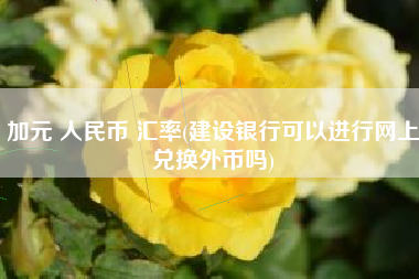 加元 人民币 汇率(建设银行可以进行网上兑换外币吗)