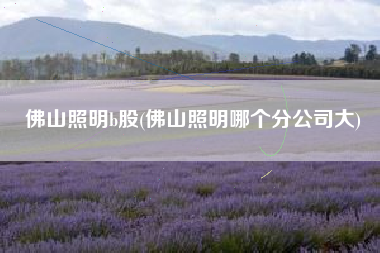 佛山照明b股(佛山照明哪个分公司大)