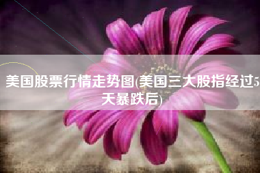 美国股票行情走势图(美国三大股指经过5天暴跌后)