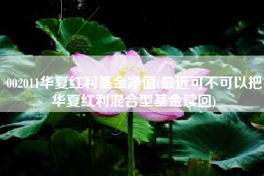 002011华夏红利基金净值(最近可不可以把华夏红利混合型基金赎回)