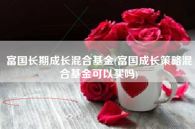 富国长期成长混合基金(富国成长策略混合基金可以买吗)