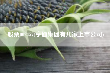 股票002457(亨通集团有几家上市公司)