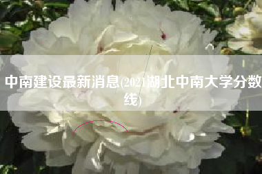 中南建设最新消息(2021湖北中南大学分数线)
