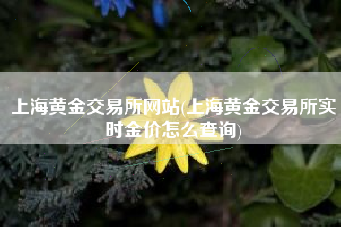 上海黄金交易所网站(上海黄金交易所实时金价怎么查询)