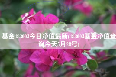 基金483003今日净值最新(483003基金净值查询今天5月28号)