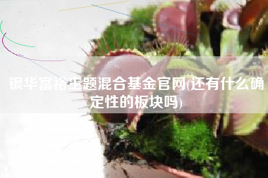 详细阅读:银华富裕主题混合基金官网(还有什么确定性的板块吗) 银华富裕主题混合基金官网(还有什么确定性的板块吗)