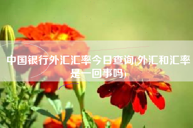 中国银行外汇汇率今日查询(外汇和汇率是一回事吗)