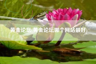 黄金论坛(黄金论坛哪个网站最好)