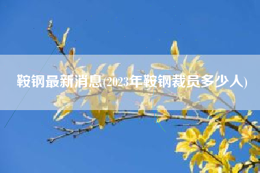 鞍钢最新消息(2023年鞍钢裁员多少人)