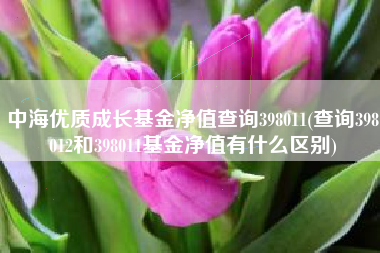 中海优质成长基金净值查询398011(查询398012和398011基金净值有什么区别)