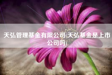 天弘管理基金有限公司(天弘基金是上市公司吗)
