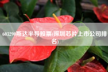 603290斯达半导股票(深圳芯片上市公司排名)
