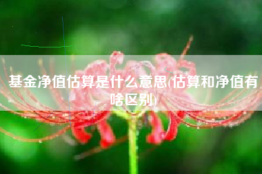 基金净值估算是什么意思(估算和净值有啥区别)