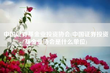 中国证券基金业投资协会(中国证券投资基金业协会是什么单位)