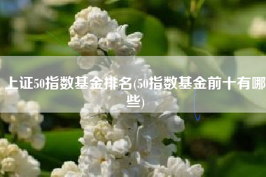 上证50指数基金排名(50指数基金前十有哪些)