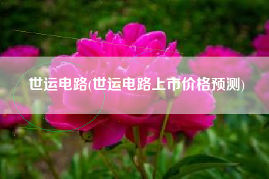 世运电路(世运电路上市价格预测)