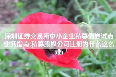 深圳证券交易所中小企业私募债券试点业务指南(私募股权公司注册为什么这么难)