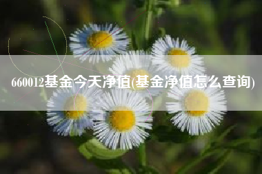 660012基金今天净值(基金净值怎么查询)